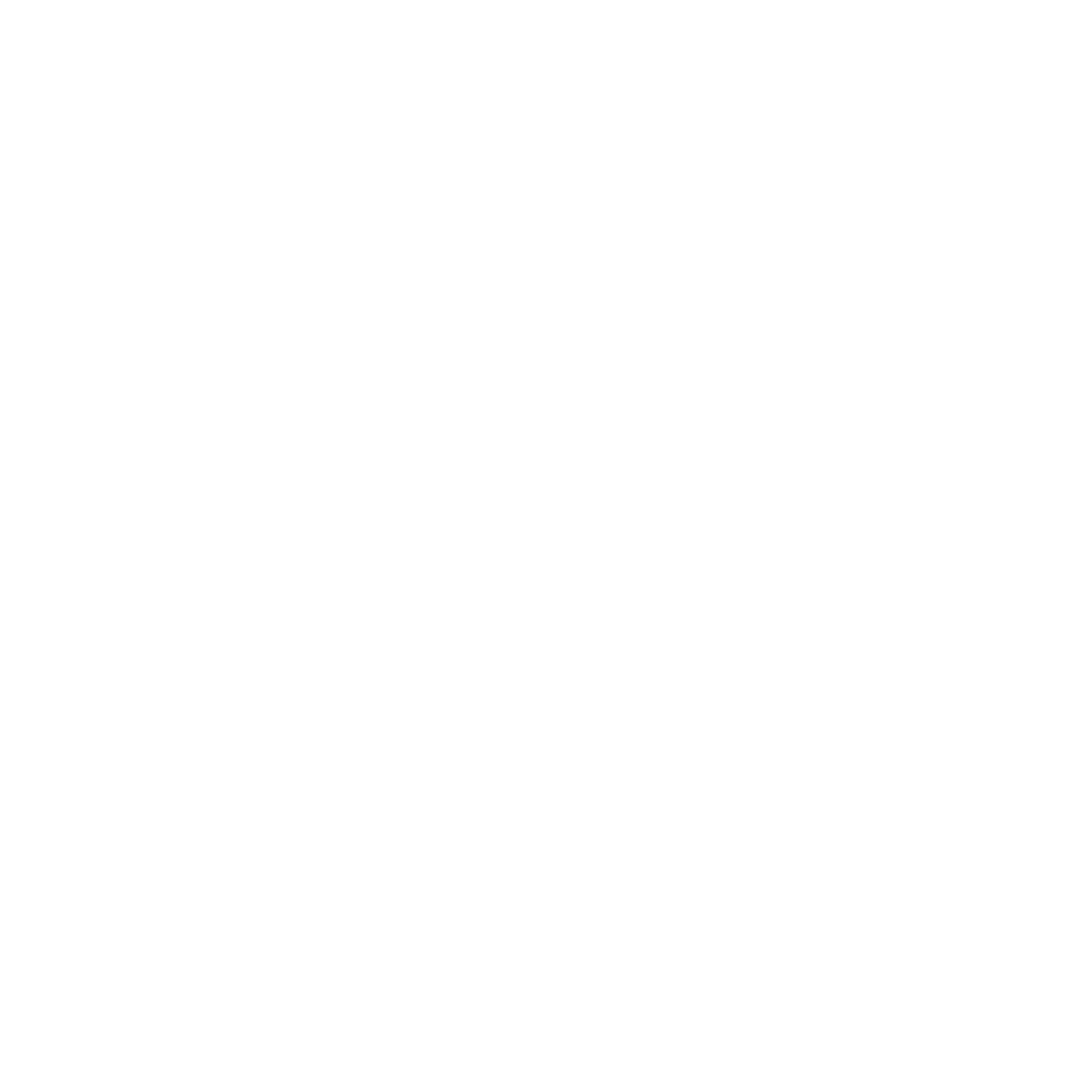 Elegant Eyes Corp. (EEC) Ltd.